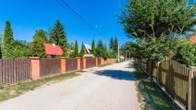 Wiartel Mały - zdjęcie 17