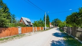 Wiartel Mały - zdjęcie 16