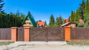 Wiartel Mały - zdjęcie 15