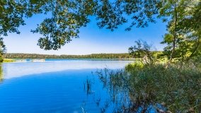 Wiartel Mały - zdjęcie 13