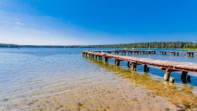 Wiartel Mały - zdjęcie 7