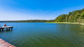 Wiartel Mały - zdjęcie 6