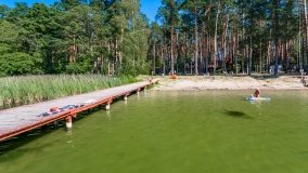 Wiartel Mały - zdjęcie 4