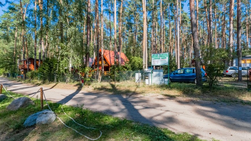 Wiartel Mały - zdjęcie 1