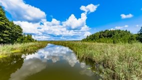 Łuknajno - zdjęcie 25