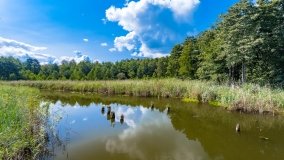 Łuknajno - zdjęcie 24