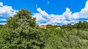 Łuknajno - zdjęcie 19