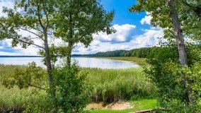 Łuknajno - zdjęcie 17