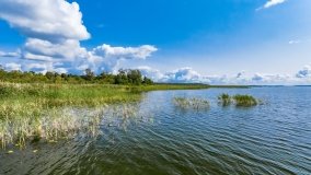 jezioro Śniardwy - zdjęcie 185