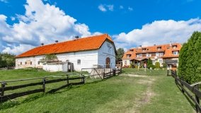 Łuknajno - zdjęcie 9