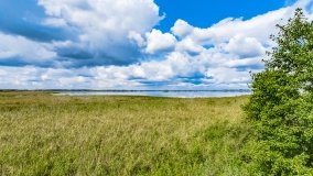 jezioro Łuknajo - zdjęcie 25