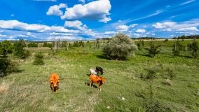 Dziubiele - zdjęcie 33