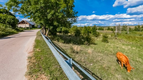 Dziubele - zdjęcie 31