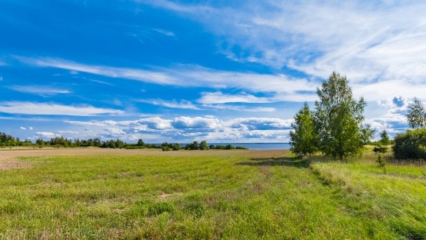 Dziubele - zdjęcie 20