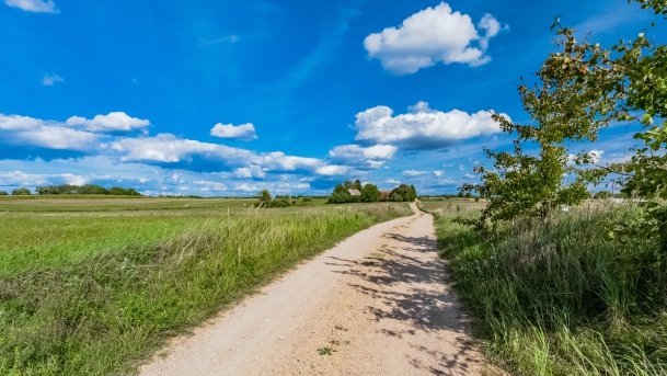 Dziubele - zdjęcie 18