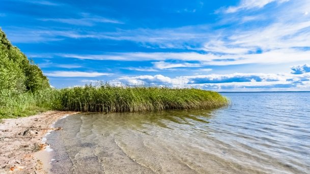 Dziubele - zdjęcie 17