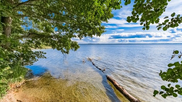 Dziubele - zdjęcie 16