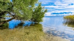 jezioro Śniardwy - zdjęcie 180