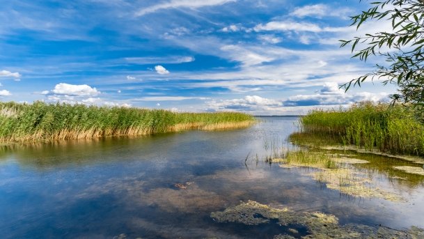 Dziubele - zdjęcie 11