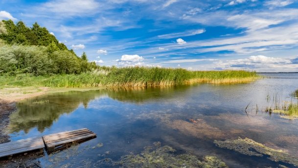 Dziubele - zdjęcie 10