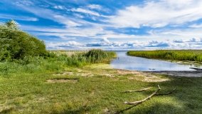 jezioro Śniardwy - zdjęcie 176