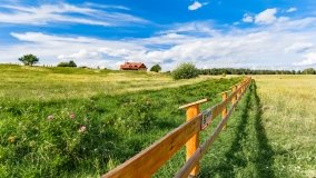 Dziubiele - zdjęcie 7