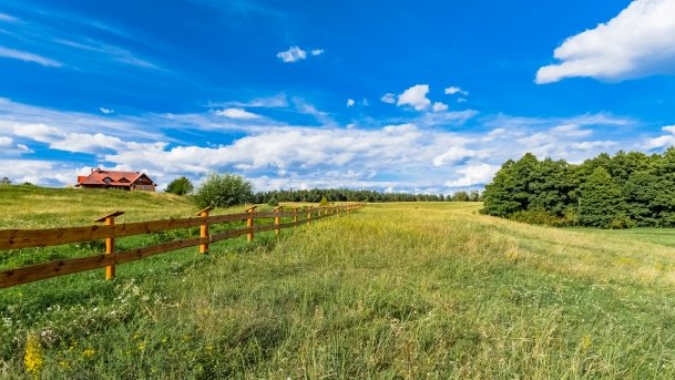 Dziubele - zdjęcie 6