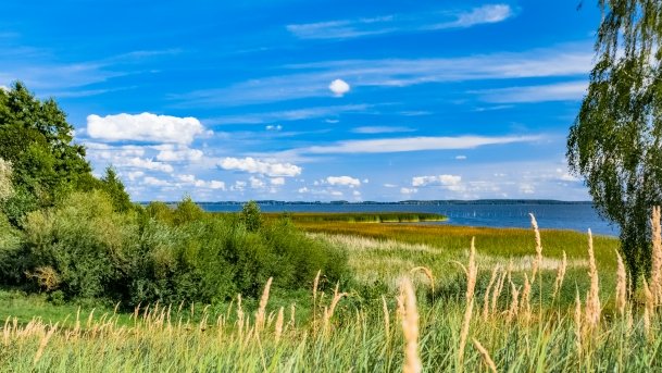 Dziubele - zdjęcie 5