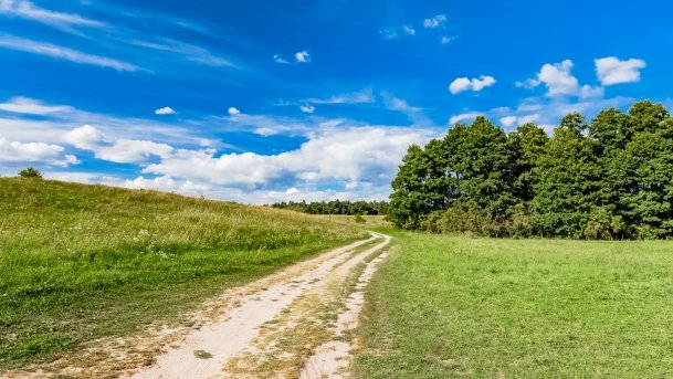 Dziubele - zdjęcie 4