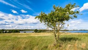 Dziubiele - zdjęcie 2