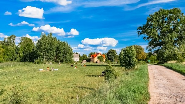 Dziubele - zdjęcie 1