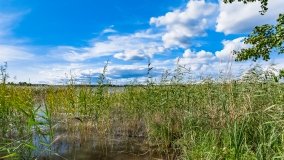 Suchy Róg - zdjęcie 7