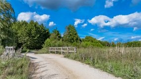 Suchy Róg - zdjęcie 5