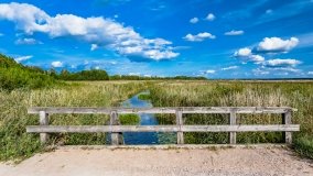 Suchy Róg - zdjęcie 4