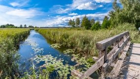 Suchy Róg - zdjęcie 3