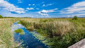 Suchy Róg - zdjęcie 2