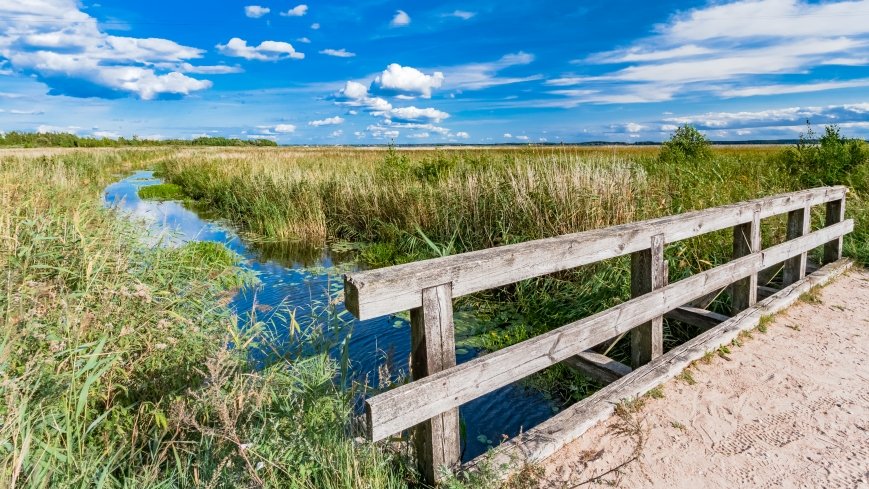 Suchy Róg - zdjęcie 1