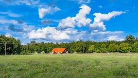 Okartowo - zdjęcie 45