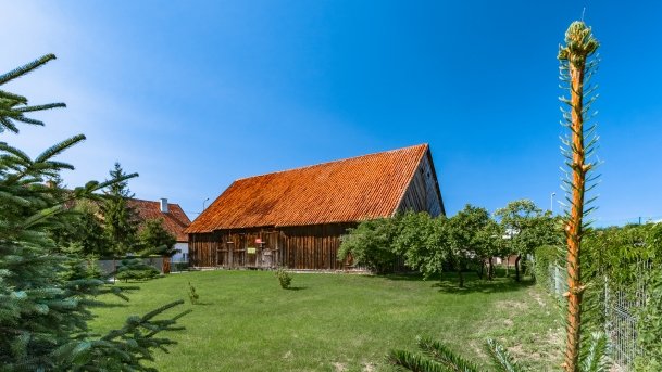 Okartowo - zdjęcie 25