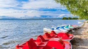 Nowe Guty - zdjęcie 35