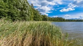 jezioro Tyrkło - zdjęcie 20