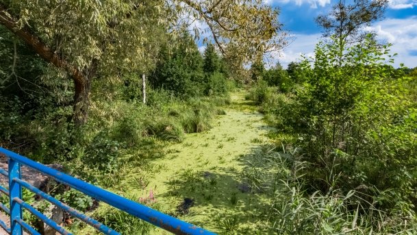 Karwik - zdjęcie 31