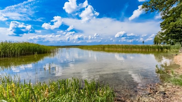 Karwik - zdjęcie 15