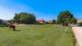 Łupki - zdjęcie 14