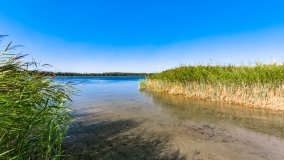 jezioro Roś - zdjęcie 45