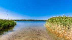 jezioro Roś - zdjęcie 44