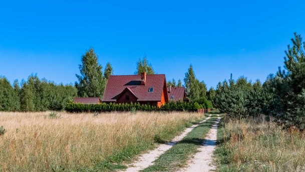 Pilchy - zdjęcie 22