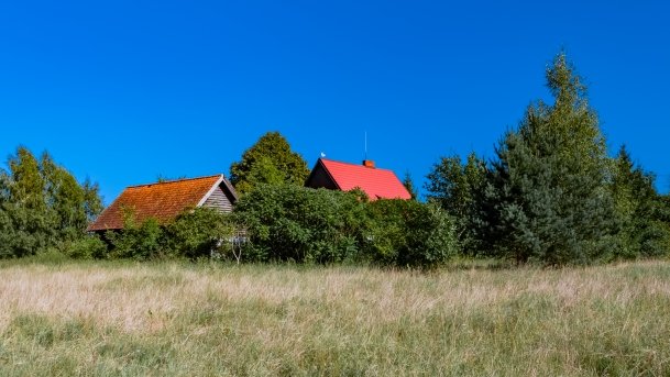 Pilchy - zdjęcie 21