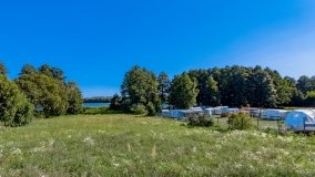 Pilchy - zdjęcie 14