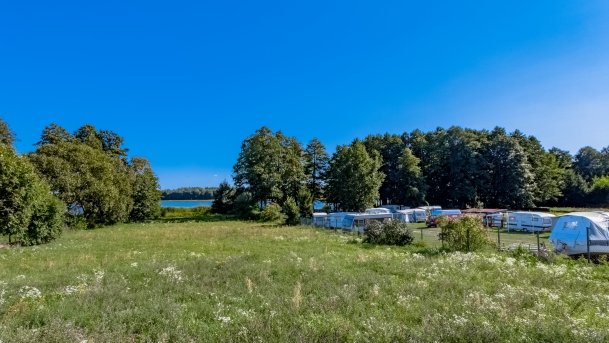 Pilchy - zdjęcie 14